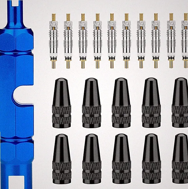 Bike Valve Core Kit - 21 Pieces, Stem Removal Tool, Brass Valve Cores & Caps